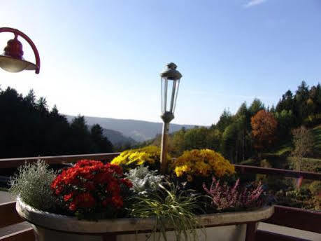 Md Waldhotel Palmspring Bad Peterstal-Griesbach Extérieur photo